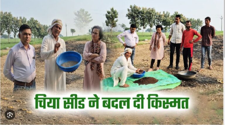 जबलपुर के किसान ने खेती में लगाया ऐसा दिमाग! इस बीज से सलाना हो रही इतने लाख की कमाई