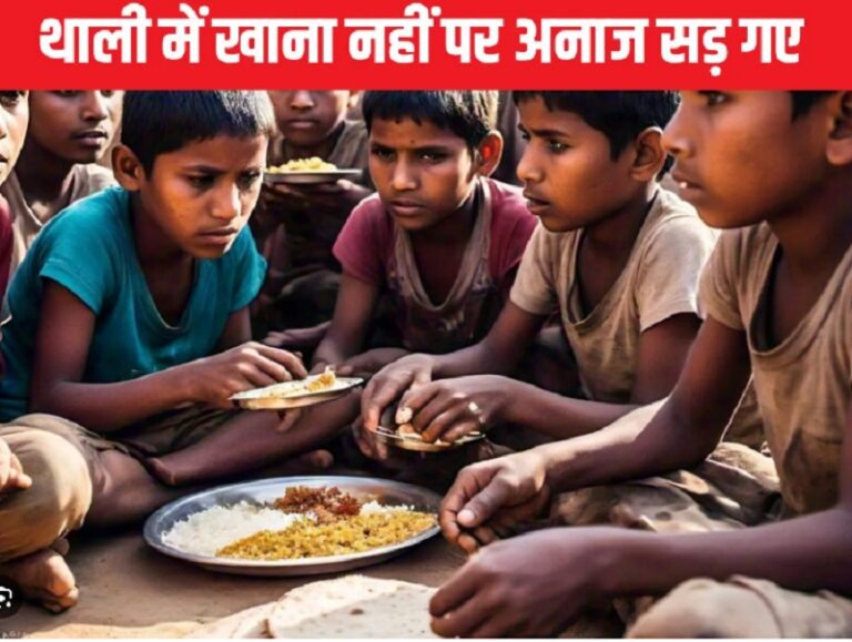 जितने से पूरे MP का एक महीने तक भर सकता था पेट, वो गोदामों में सड़ गया, 900000 क्विटंल अनाज खराब