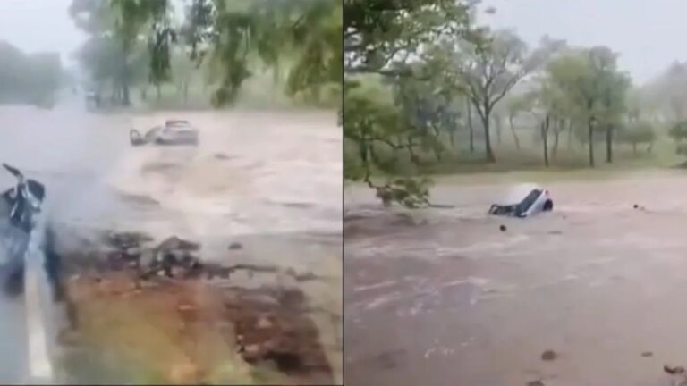 उफनते नाले में बह गई कार, तीनों सवारों ने यूं बचाई जान; VIDEO आप भी देखें