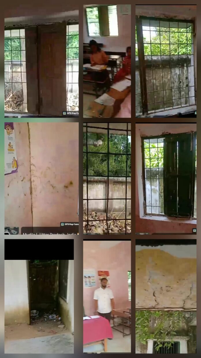 WhatsApp Image 2025-10-26 at 10.59.26 AM