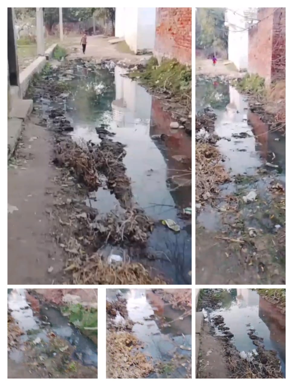 WhatsApp Image 2025-12-11 at 11.56.06 AM