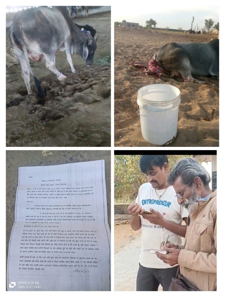 जैसलमेर में गायों के साथ क्रूरता और अवैध कब्जे का गंभीर आरोप, वीडियो बनाकर भ्रामक प्रचार; पुलिस से FIR की मांग
