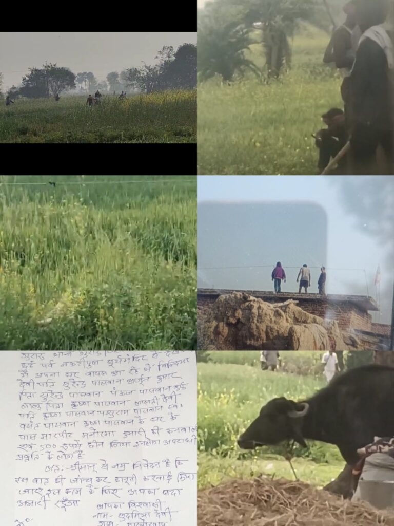 घर में घुसकर लाठी-बंदूक से हमला, महिला से लूटपाट का आरोप; कार्रवाई न होने पर दहशत में परिवार