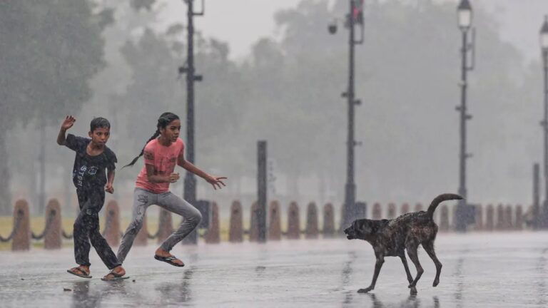 आवारा कुत्ते के हमले के बाद ‘रेबीज’ से लड़की की मौत, इलाज में हुई लापरवाही, चार सरकारी डॉक्टरों के खिलाफ FIR दर्ज