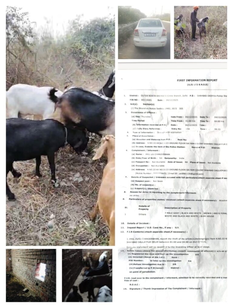 दिल्ली में बकरी चोरी कांड: लाखों की चोरी के बाद भी नहीं मिला इंसाफ, पुलिस पर समझौते का दबाव डालने के आरोप