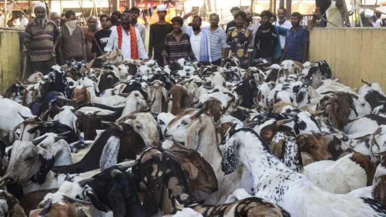बकरीद क्या है और क्यों मनाई जाती है? जानें इससे अर्थव्यवस्था में कितना होता है योगदान