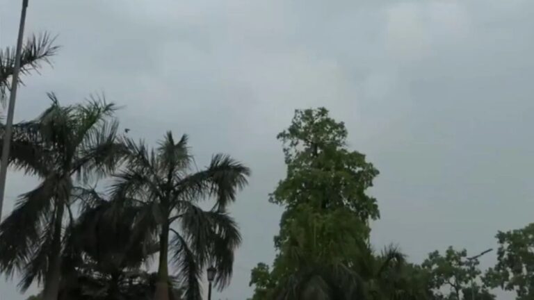 दिल्ली-NCR में तपती गर्मी से राहत, तेज हवाओं के साथ बारिश, आसमान में काले बादलों ने डाला डेरा