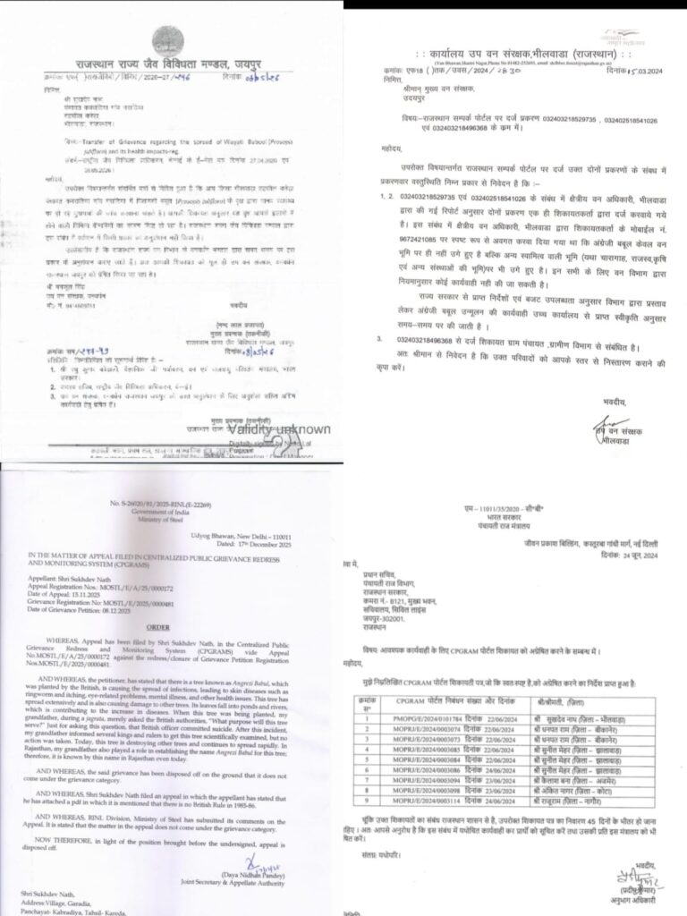 अंग्रेजी बबूल बना राष्ट्रीय खतरा? तीन साल से जारी शिकायत, वैज्ञानिक रिपोर्ट के बाद फिर उठे सवाल