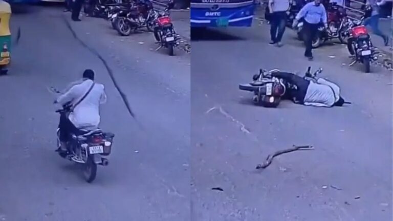 बाइक से जा रहे शख्स के सिर पर गिरी सूखी टहनी, अचेत होकर सड़क पर गिरा; CCTV फुटेज आया सामने