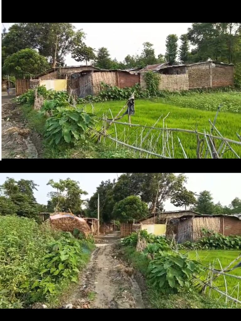 बारिश आते ही टापू बन जाता है गांव! सड़क नहीं, चारों ओर जलभराव; ग्रामीण बोले- बीमार पड़ जाएं तो अस्पताल पहुंचना भी मुश्किल